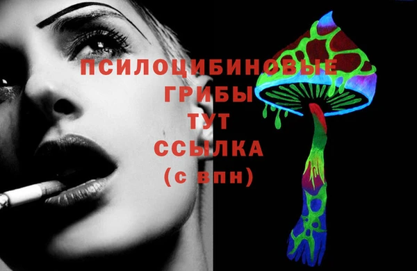 молекула духа Баксан