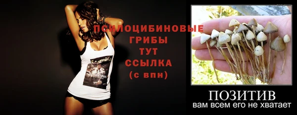 молекула духа Баксан