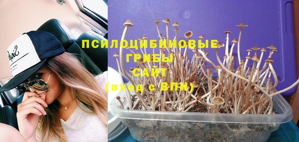 молекула духа Баксан