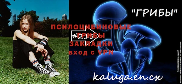 прущие крисы Балахна